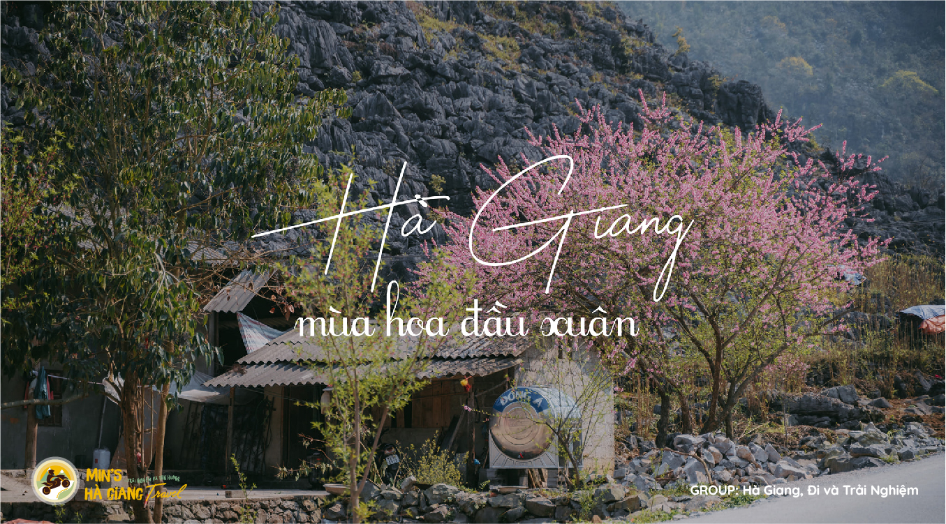 Địa điểm checkin Hoa HÀ Giang | Min's Hà Giang Travel