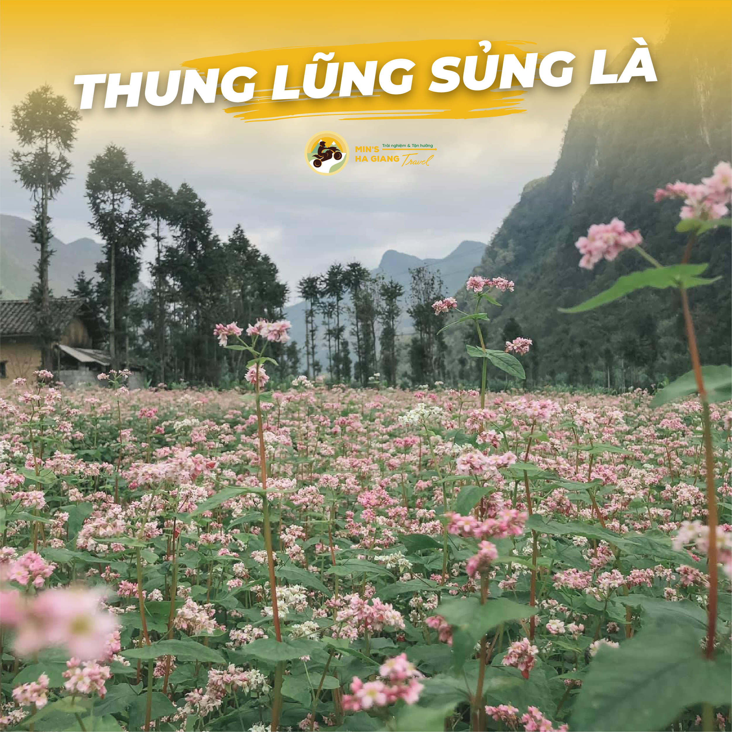 Thung lũng Sủng Là Hà Giang | Min's Hà Giang Travel